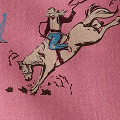 Bronc Toile