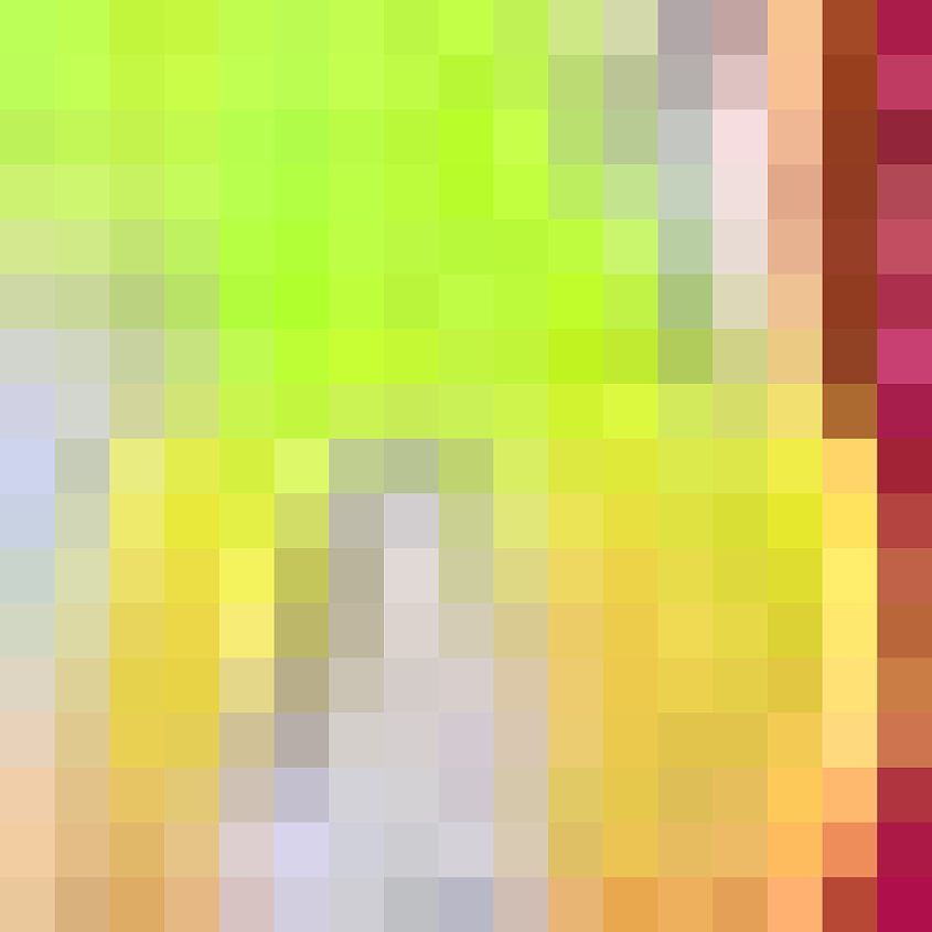 White Flash Yellow Plum