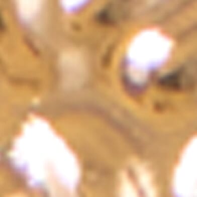 Gold Multi