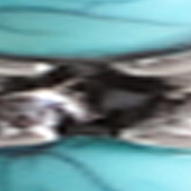 Silver Turquoise