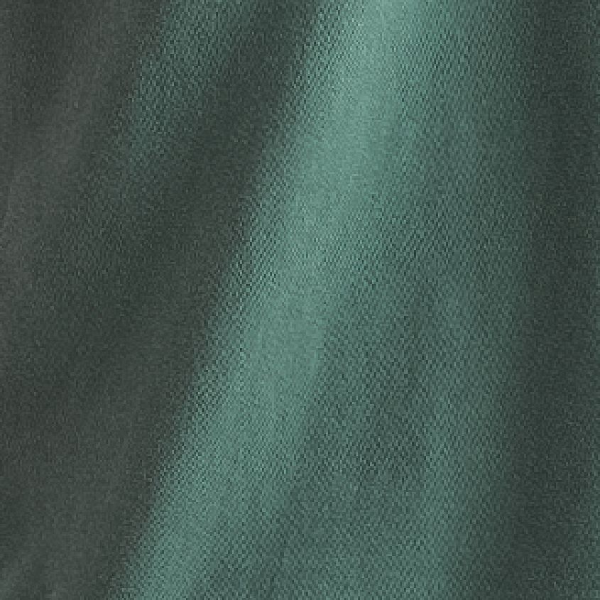 Blue Spruce