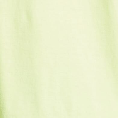Neon Lemon