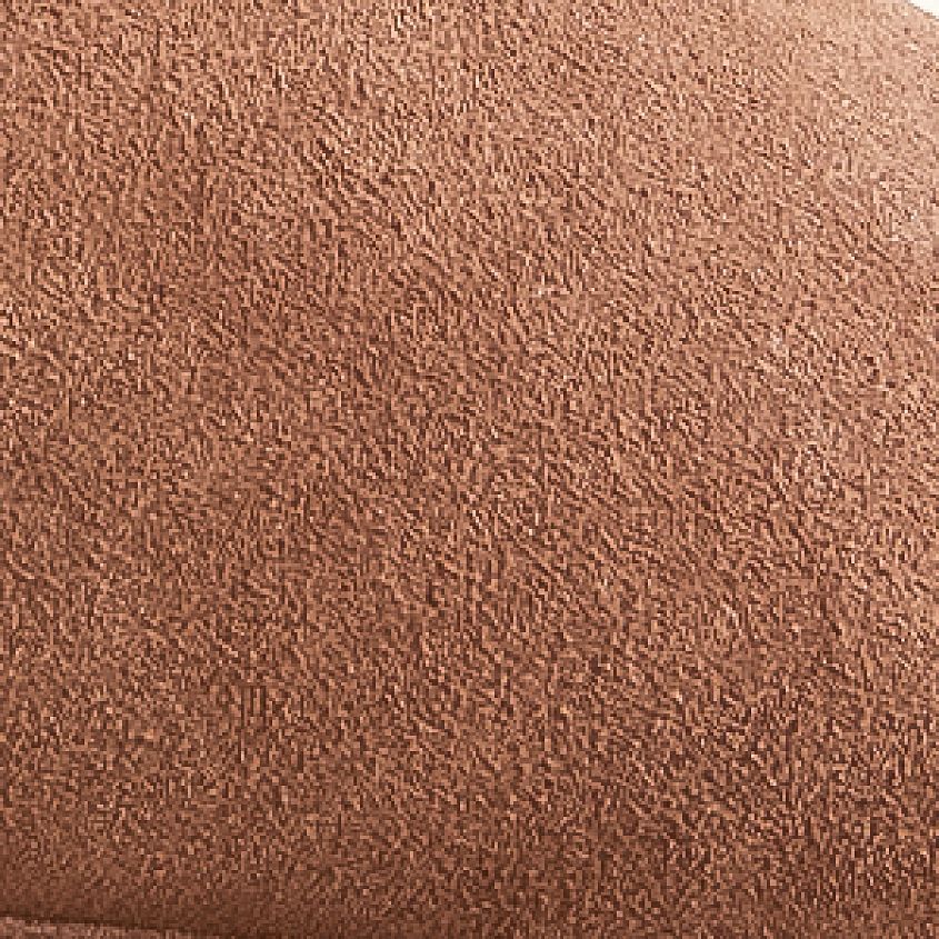 Cocoa