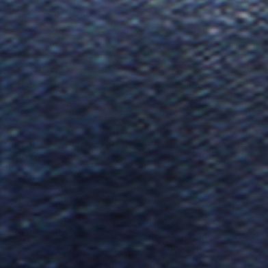 Aralosaurus