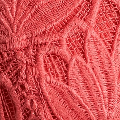 Spiced Coral