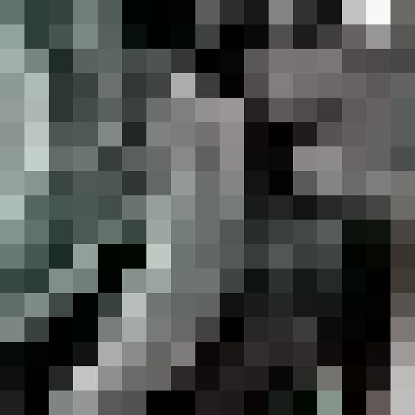 Grey Black Green