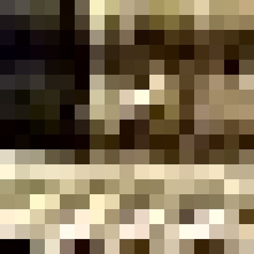 Brown