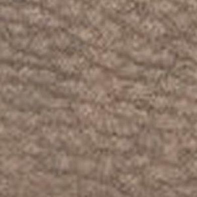 Desert Dust Gray Taupe