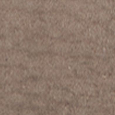 Desert Dust Gray Taupe