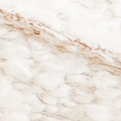 Eggshell