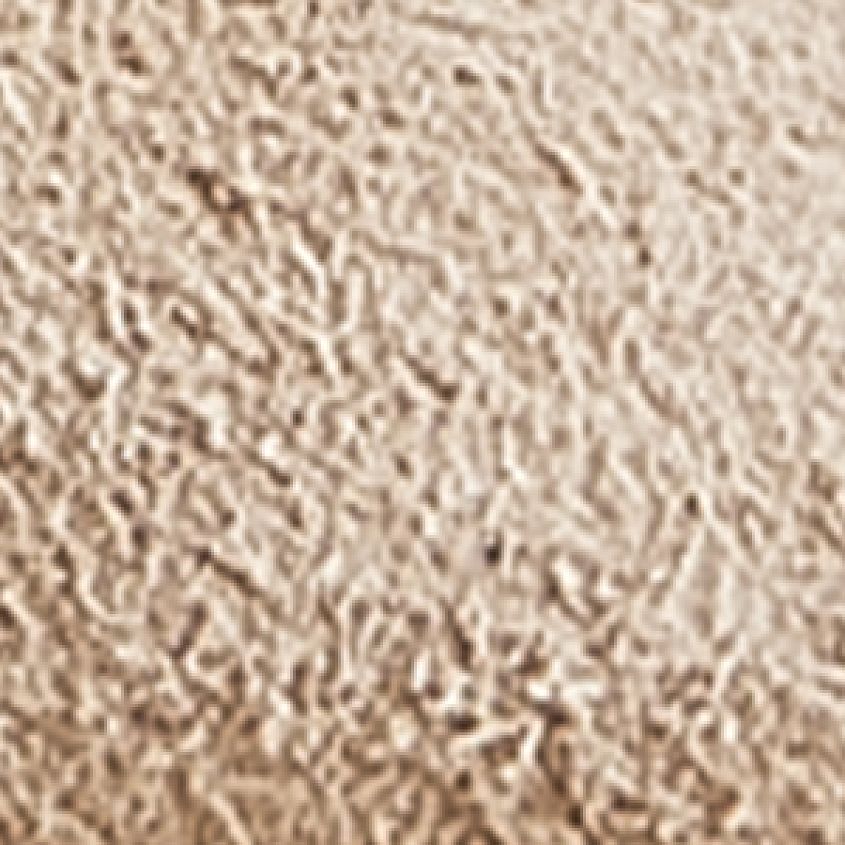 Taupe Sandcastle