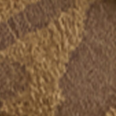 Khaki Leo