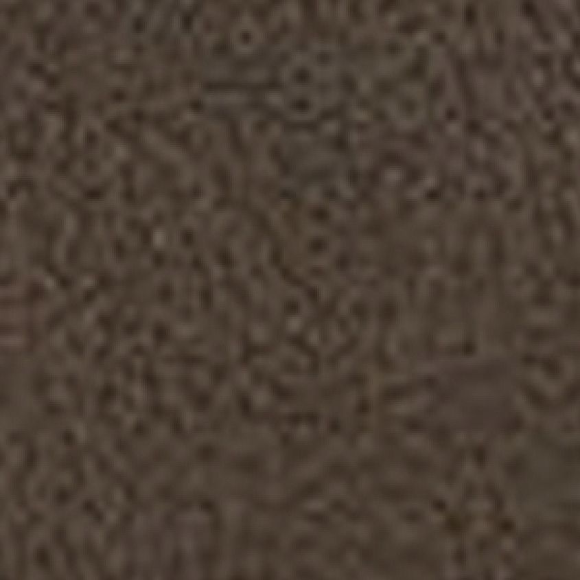 Mocha