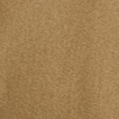Sepia Tint