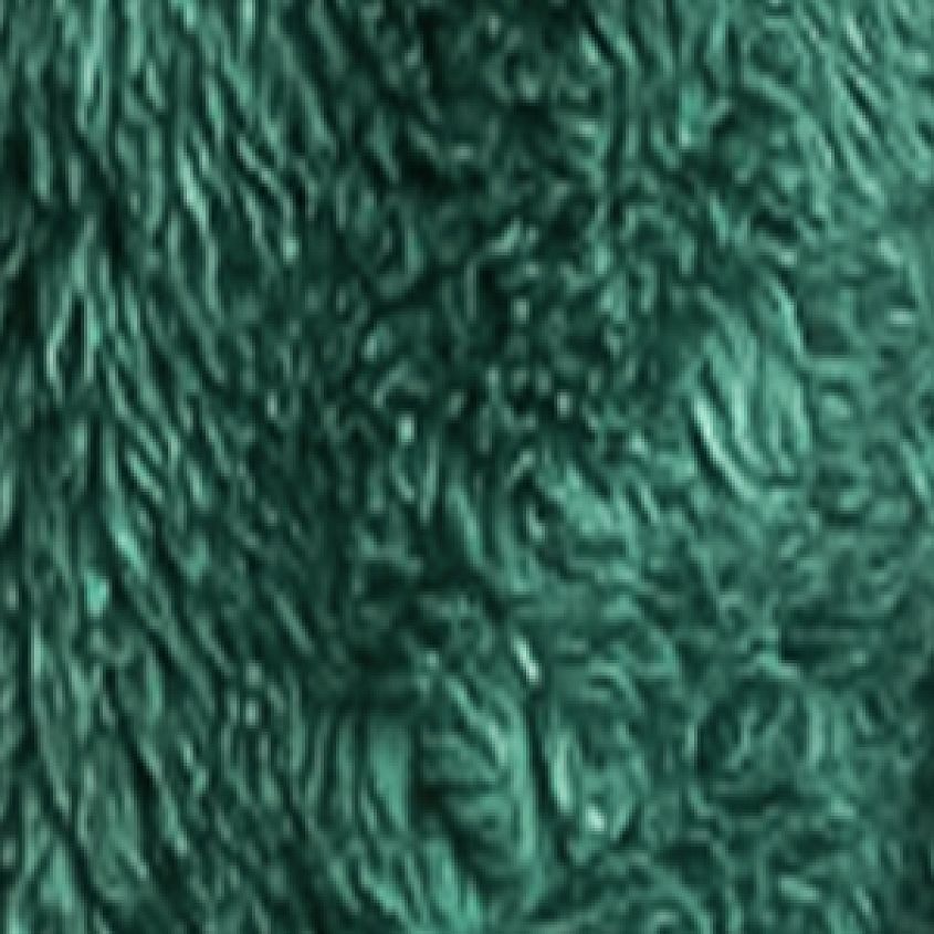 Ponderosa Pine