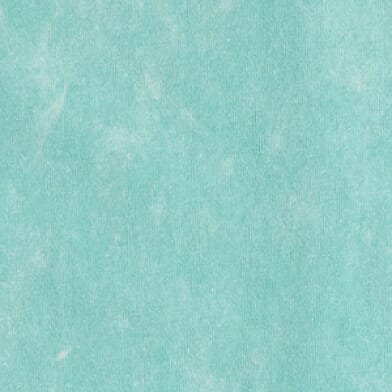 Holiday Blue