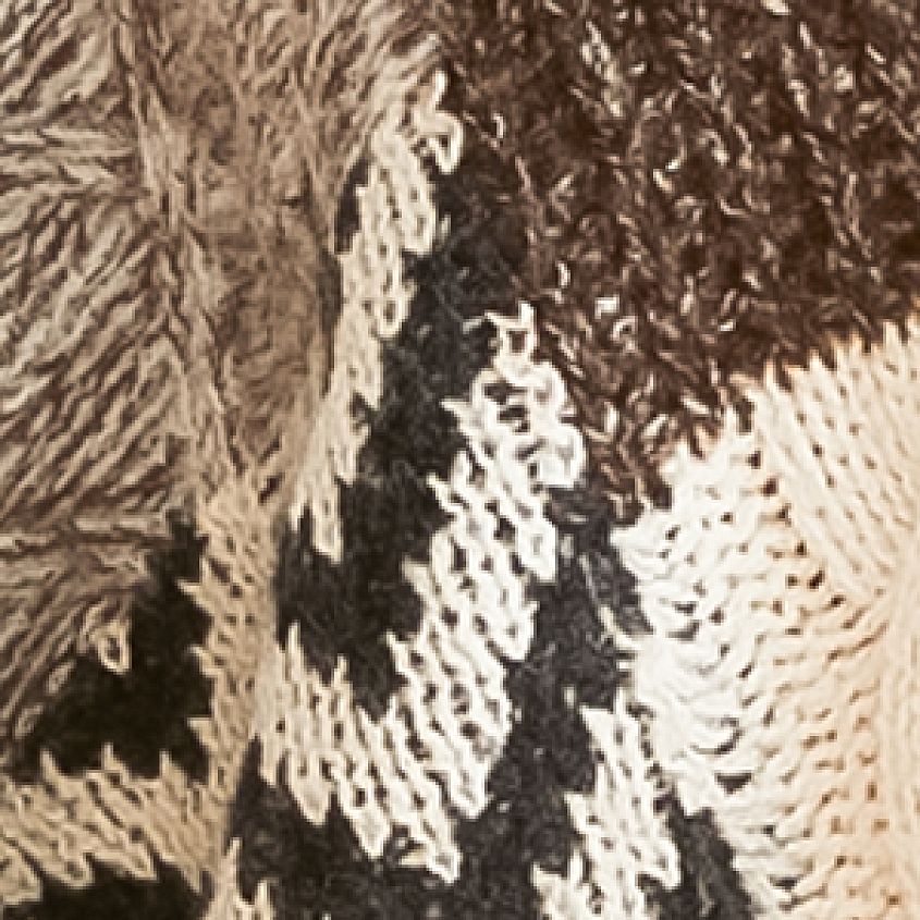 Brown Multi