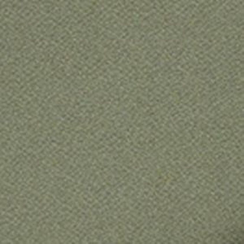 Light Olive