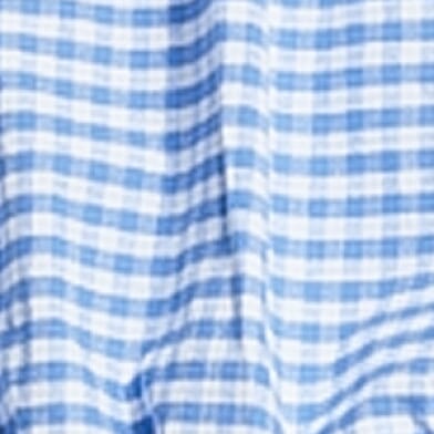 Blue White Gingham