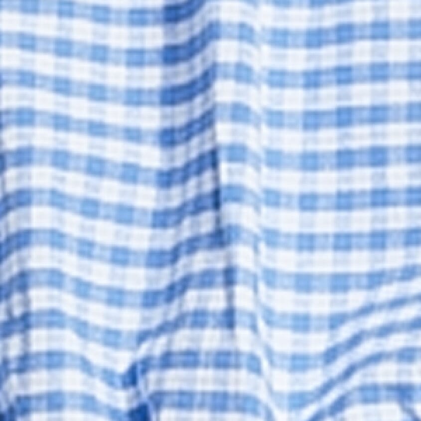 Blue White Gingham