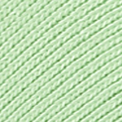 Fair Aqua Spearmint