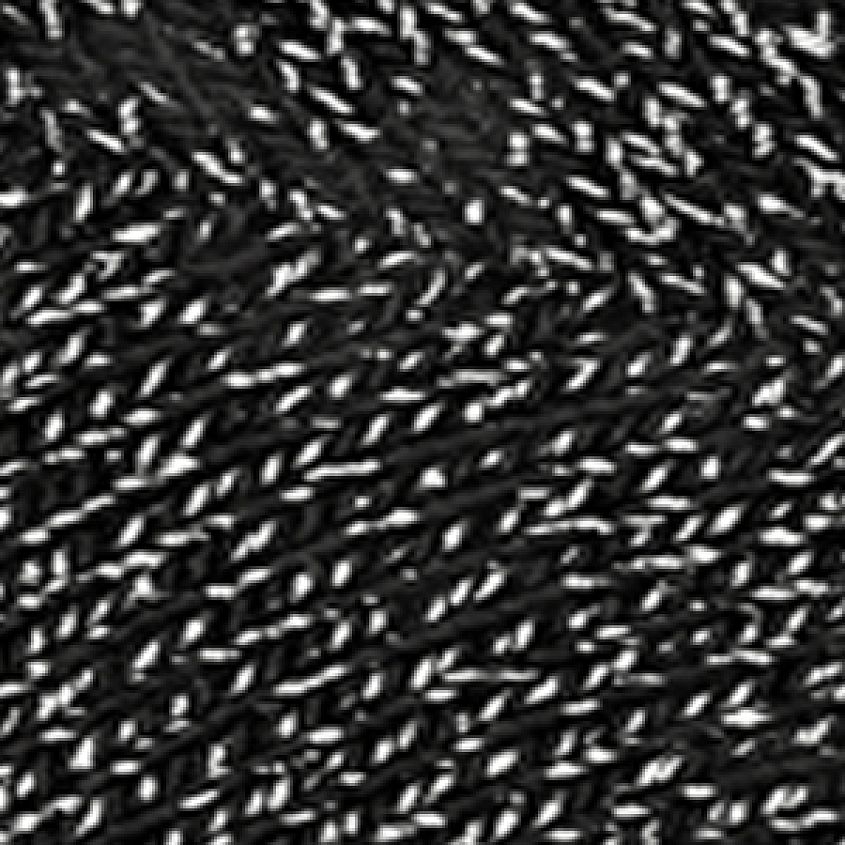 Black Lurex
