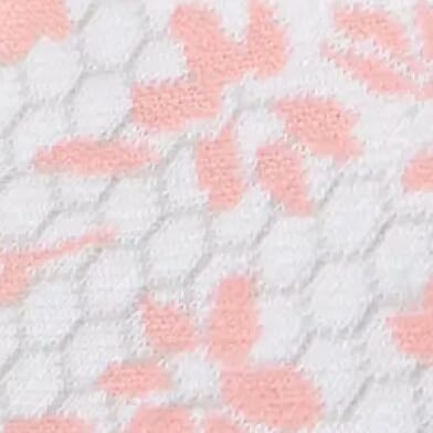 White Pink Lily