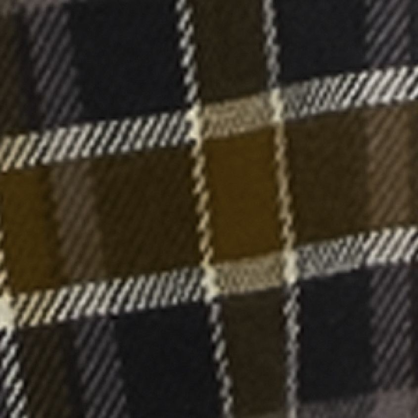 Black Desert Palm Beige