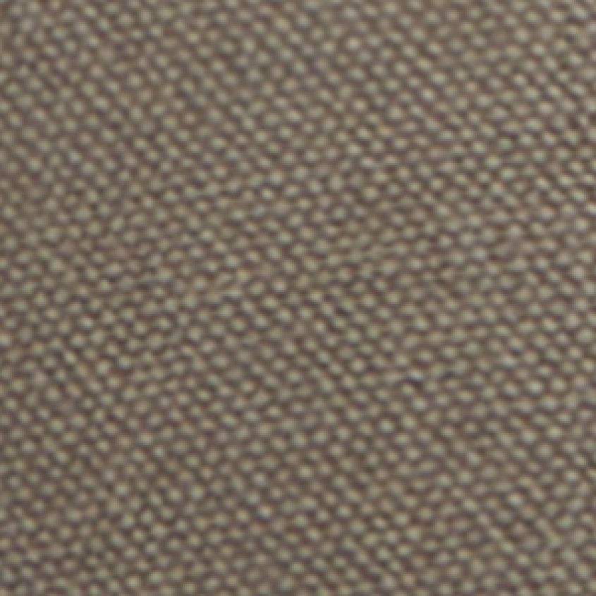 Cinder Grey Cinder Grey