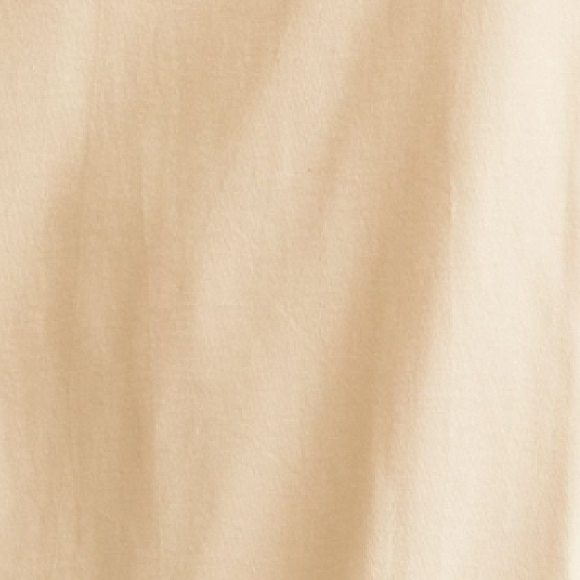 Cream Olive