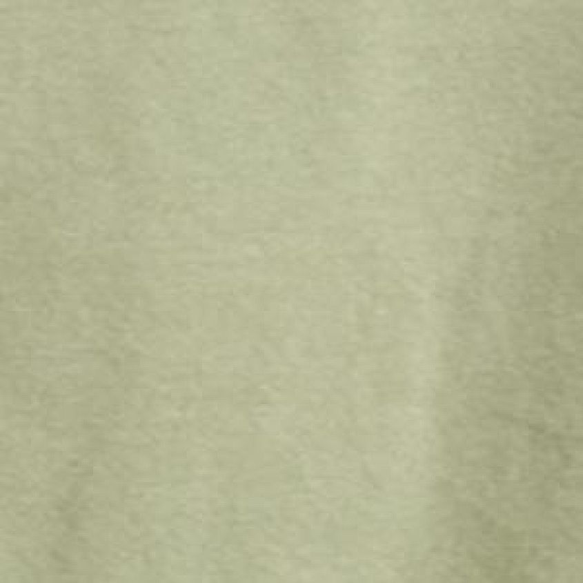Olive Surplus