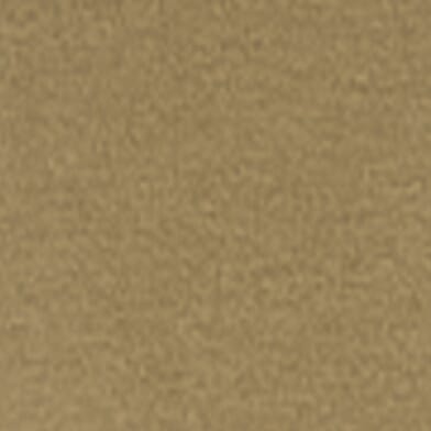 Brown Savana