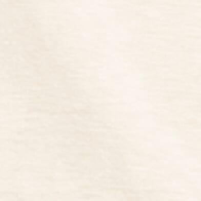 Ancient Scroll Artic Wolf