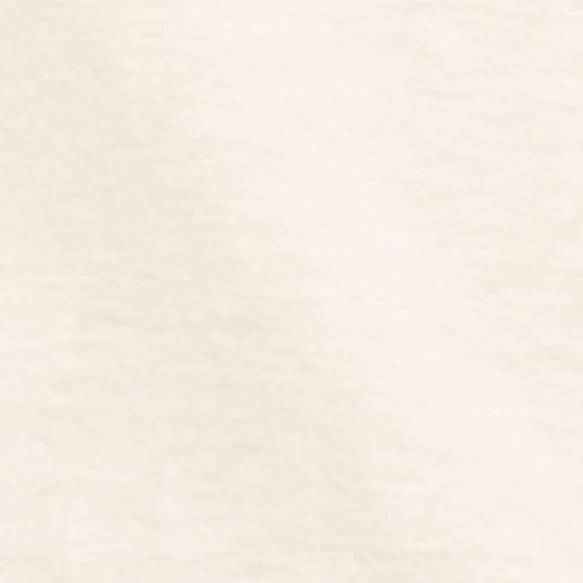 Ancient Scroll Artic Wolf