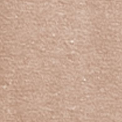 Sepia Tint