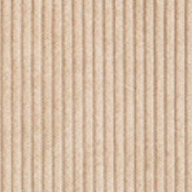 Pumice Stone