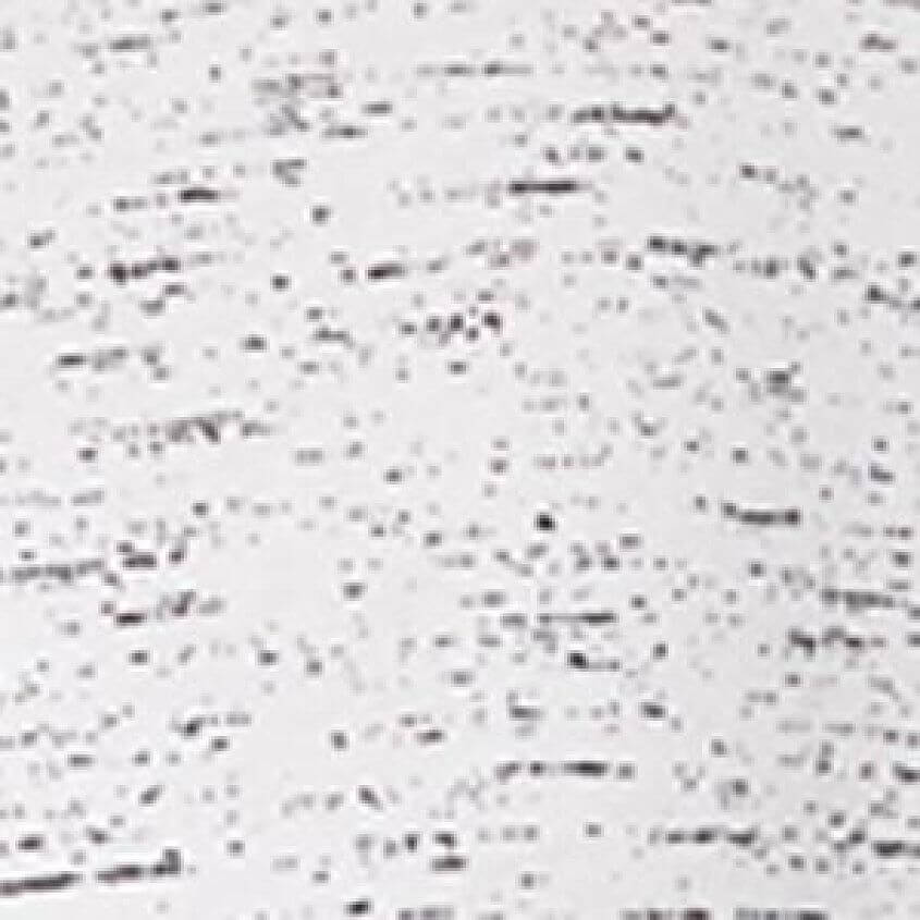 White Print Space Dye