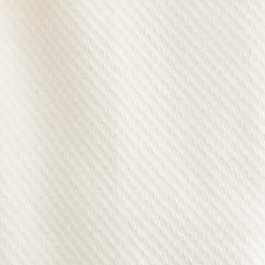 Arctic Grey