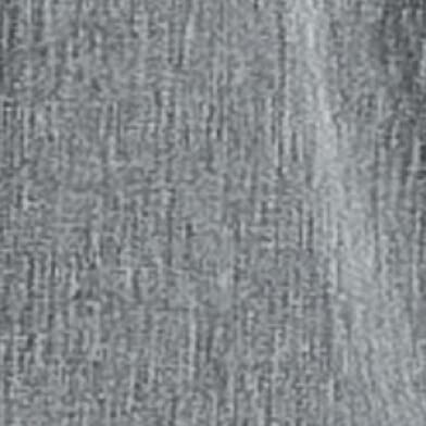 Grizzly Gray