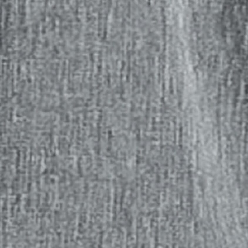 Grizzly Gray