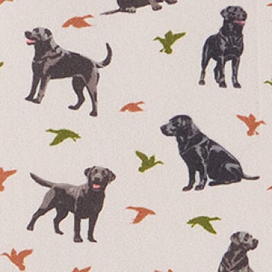 Ducks And Dogs