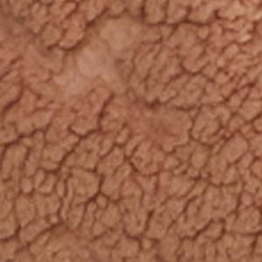 Nude Mood