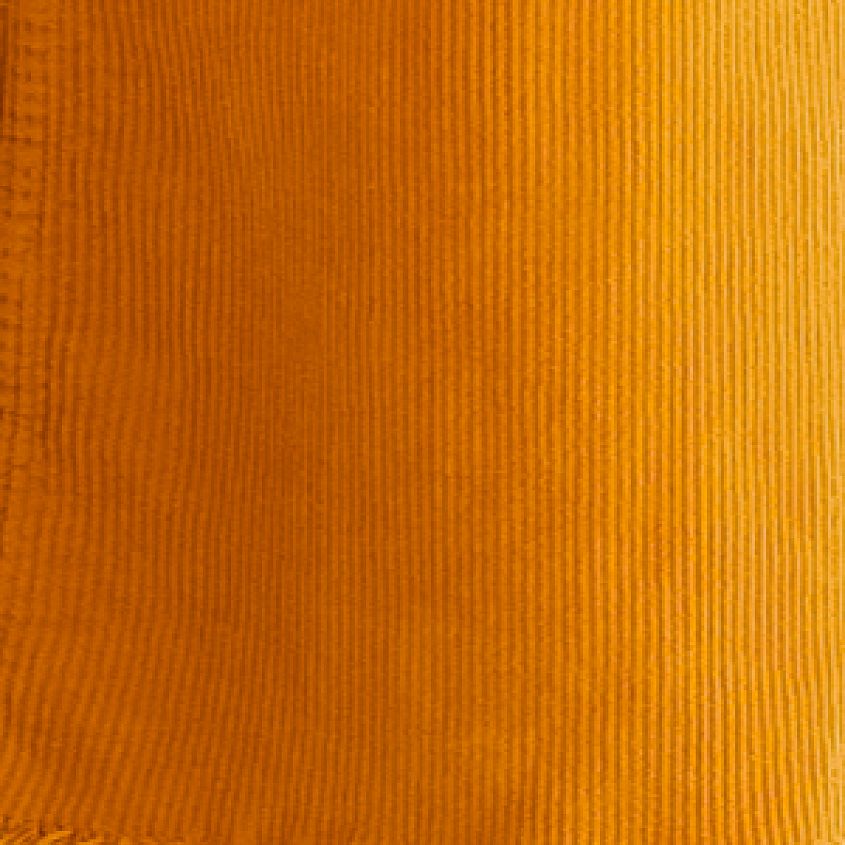 Golden Spice