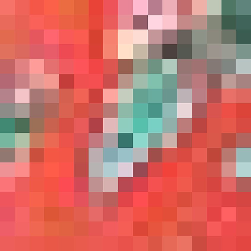 Hot Coral