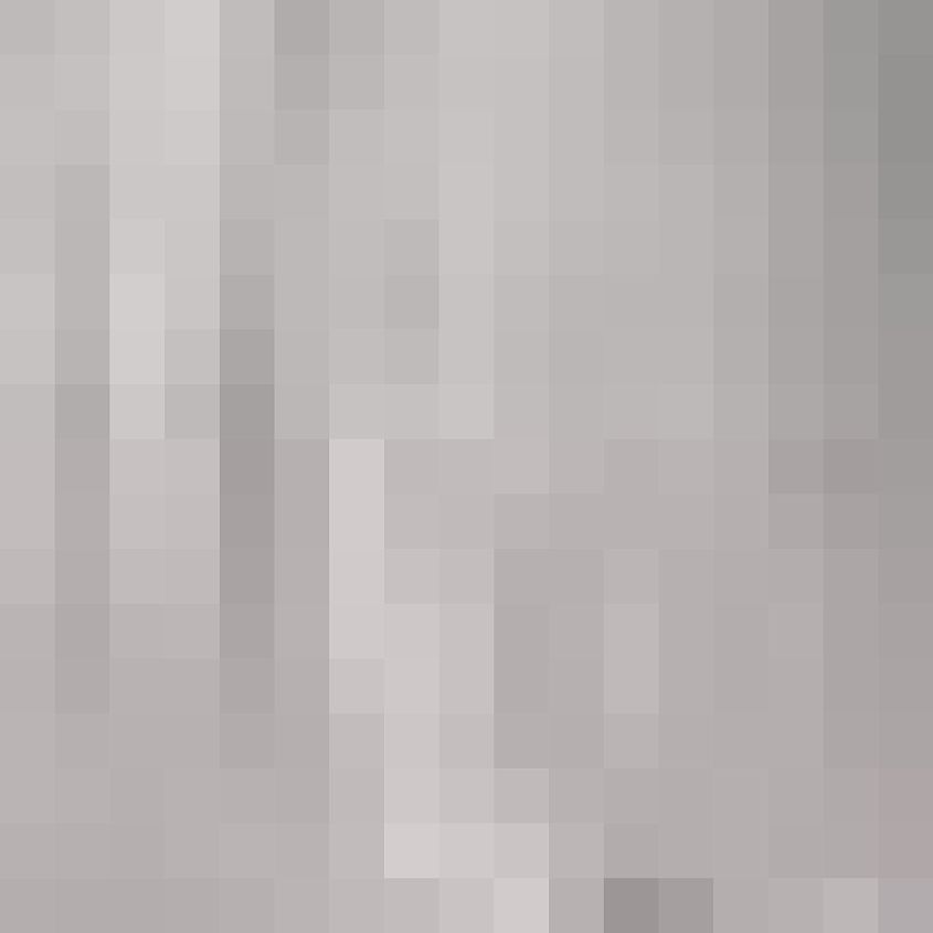 Seal Grey