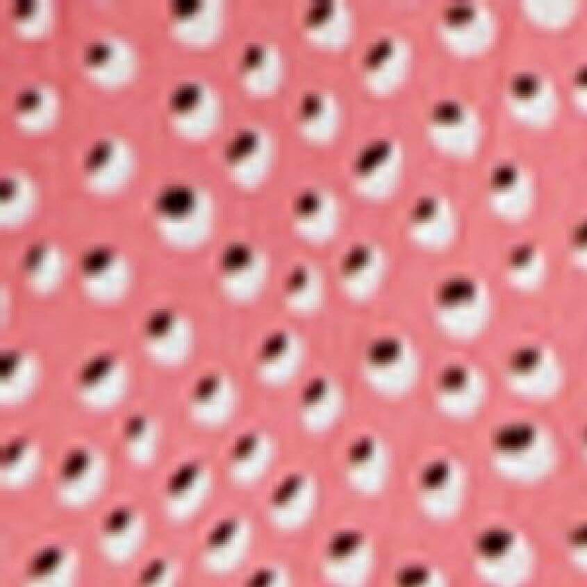 Coral Kiss