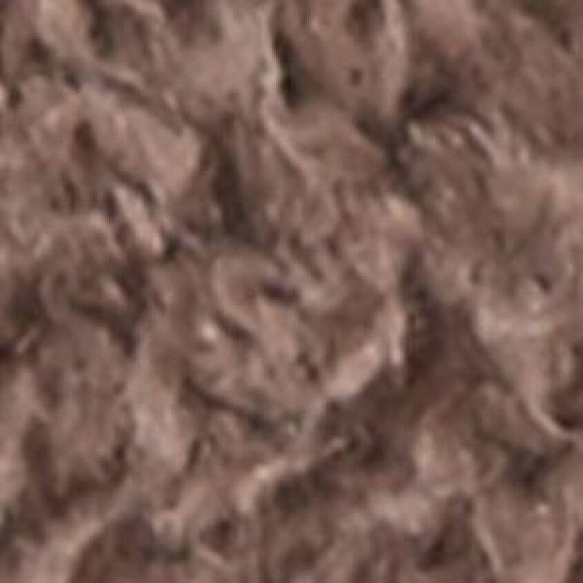 Coyote