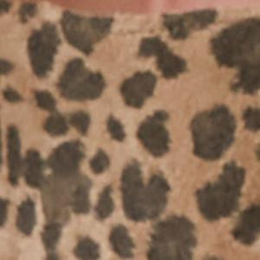 Animal Print