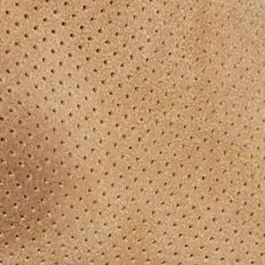 Dune