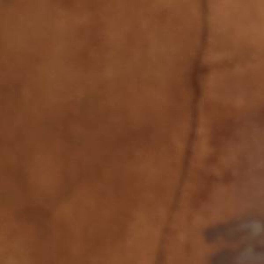 Chestnut